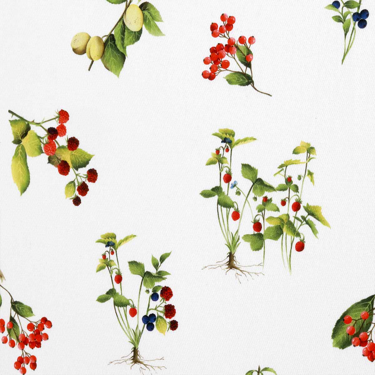 Set tovaglie cotone con disegno Frutti Rossi