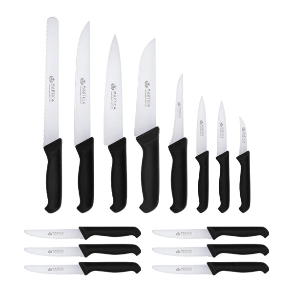 Set coltelli cucina in acciaio molibdeno 21 pezzi prodotta in Italia